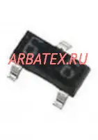 31519