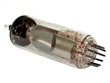 61  