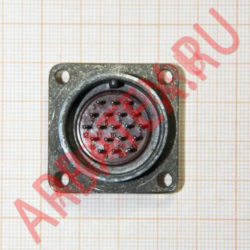 2РМ24Б19Ш1В1 вилка Разъемы разное фото фото 3