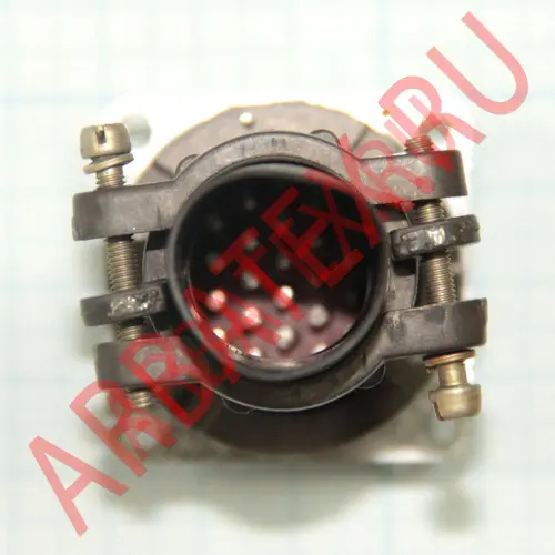 2РМДТ30БПН24Ш5В1В фото 3