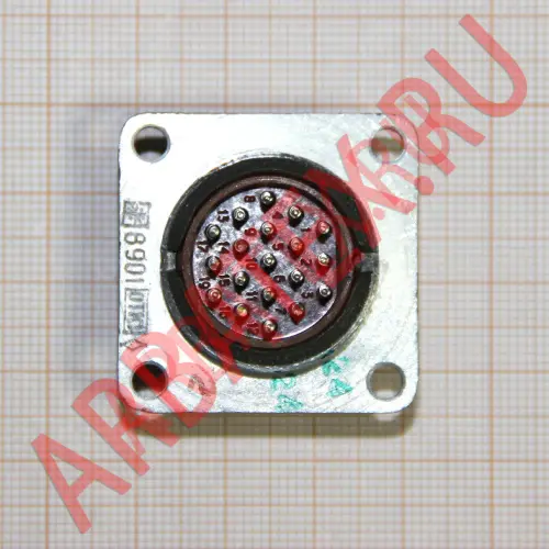 2РМ24Б19Ш1В1 вилка Разъемы разное фото фото 7