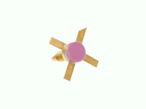 981   2