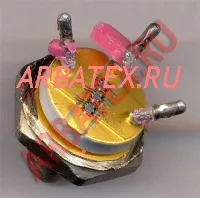 2904