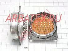 2455081 