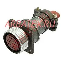 2РМ24БПН19Г1В1 розетка фото