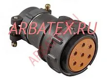 2РМ18БПЭ7Г1А1 розетка фото