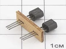 1031