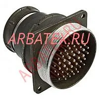2455081 