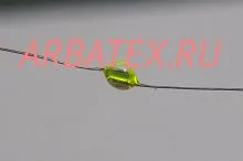 101  